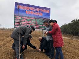 哈药股份上市三十载,砥砺前行共赴未来